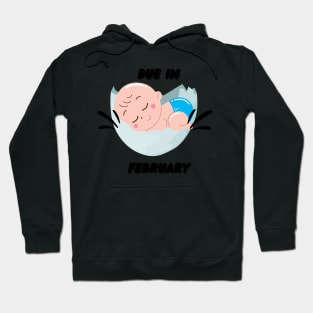 Due in February Baby Gift Hoodie